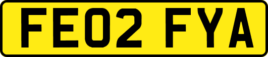 FE02FYA