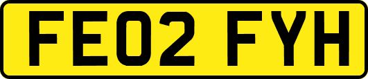 FE02FYH