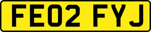 FE02FYJ