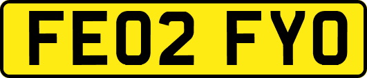 FE02FYO