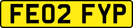 FE02FYP