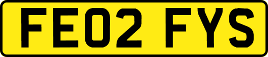 FE02FYS