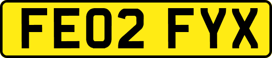 FE02FYX