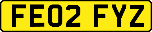 FE02FYZ