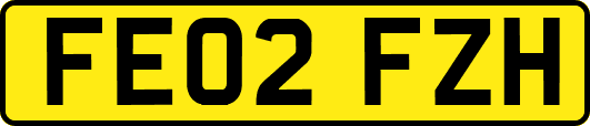 FE02FZH