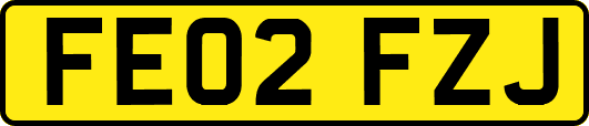 FE02FZJ