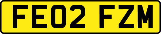 FE02FZM