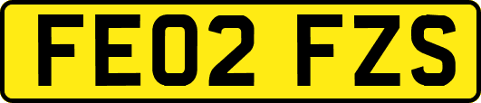 FE02FZS