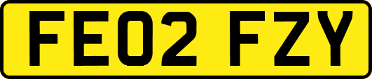 FE02FZY