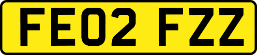 FE02FZZ