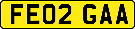 FE02GAA