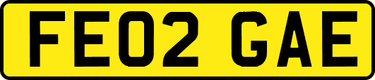 FE02GAE