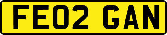 FE02GAN