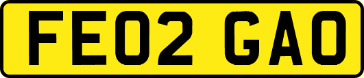 FE02GAO