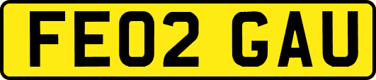 FE02GAU