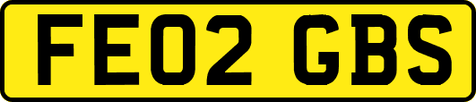 FE02GBS