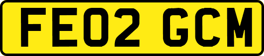 FE02GCM