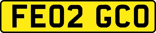 FE02GCO