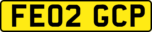 FE02GCP