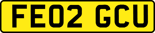 FE02GCU
