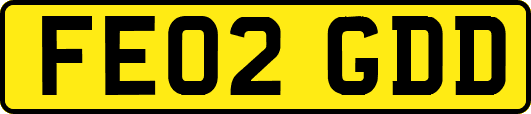 FE02GDD