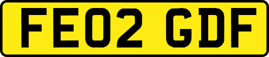 FE02GDF