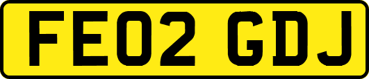 FE02GDJ