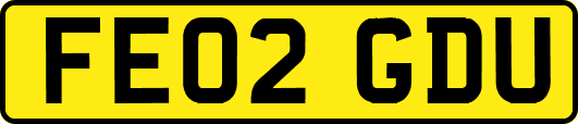 FE02GDU