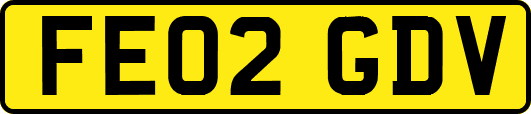FE02GDV