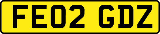 FE02GDZ