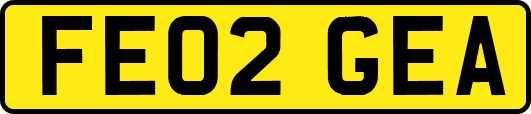 FE02GEA