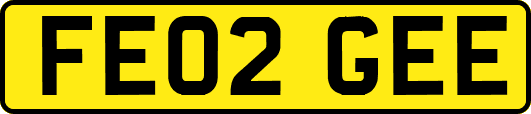 FE02GEE