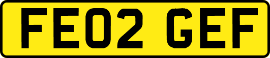FE02GEF