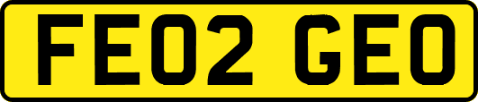 FE02GEO