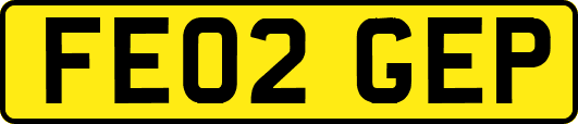 FE02GEP
