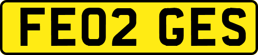 FE02GES