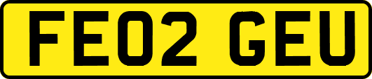 FE02GEU