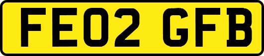 FE02GFB