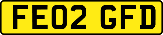 FE02GFD