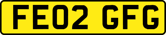 FE02GFG