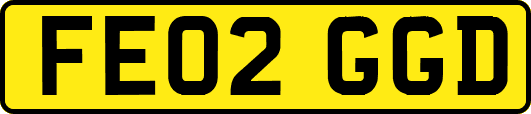 FE02GGD