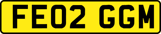 FE02GGM