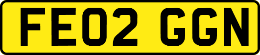 FE02GGN