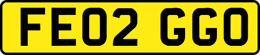 FE02GGO
