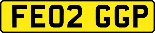 FE02GGP
