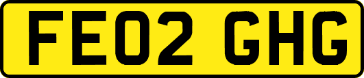 FE02GHG