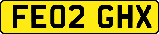 FE02GHX