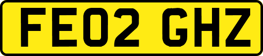 FE02GHZ