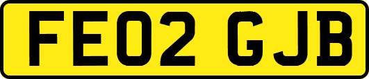 FE02GJB