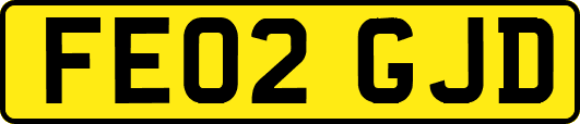 FE02GJD